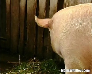 Brunette Lady Farmer Hairy Pussy Barn Fucked