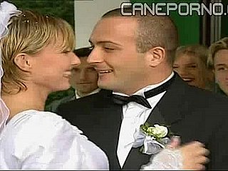Dampen vedova allegra