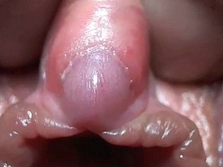 Clitoris is very close-up