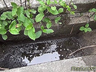 귀여운 일본 호 스쿼트