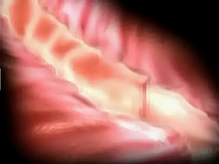 Souffrance et plaisir 3D hentai