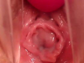 Pregnant Pussy - A difficulty Median Materialize