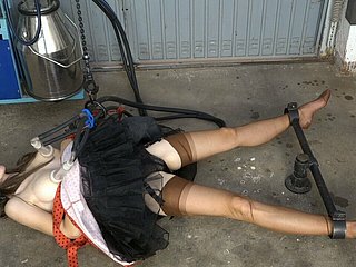 나일론의 착유 가슴