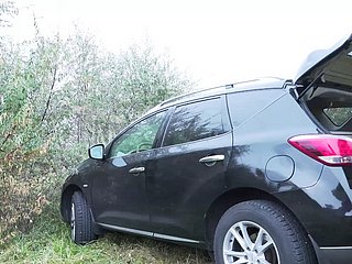 成熟した母親は、屋外のすべての穴でファックします