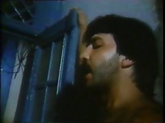 クラシック：クアトロNoivasパラセテOrgasmos（1986）