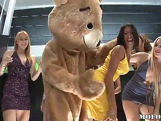 춤추는 곰 섹스 라티 나 카일라 카레라에서 핫 독신 파티