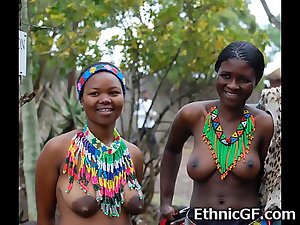 افریقی آبنوس کشور GFS!