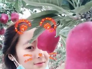 Chinese high school students alongside pictures at hand transmitted to apple orch