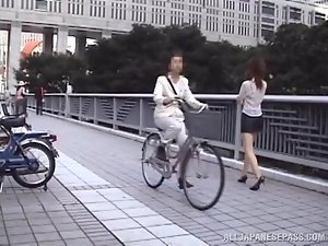 絹のような髪の雌犬は服を変更します