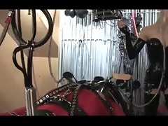 Milking tackle together with electrics