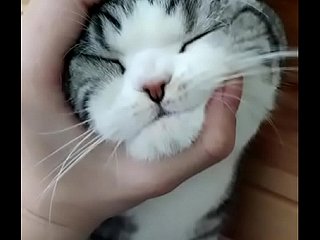 Okay, Satisfying