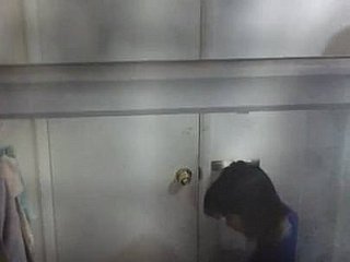 Chinese chick
