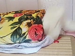 Những đĩ tốt nhất, y tá down in the mouth phòng tắm ướt cám dỗ
