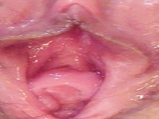 대학 섹시 부드러운 newborn 재생 자신
