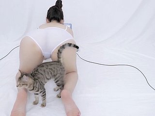 چینی عریاں asmr