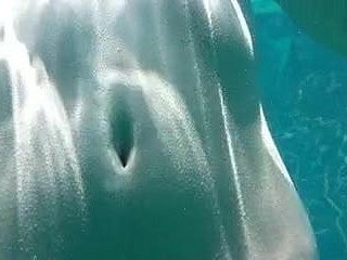 شهوانية اليابانية 135