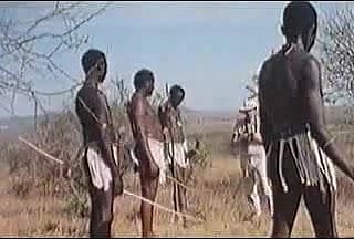 افریقی بہت بڑا عضو تناسل! اصلی سفاری!