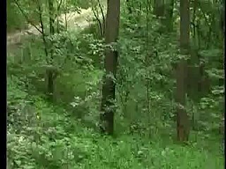 Jebacina na Avali sérvio-Srpski por KRMANJONAC