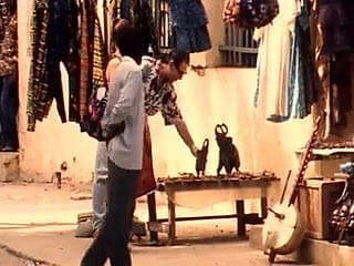 Felicity en Afrique (Joy Di Afrika)