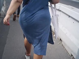 Candid blau arabicum Esel auf der Straße.