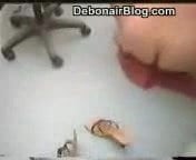dentista paquistaní 7
