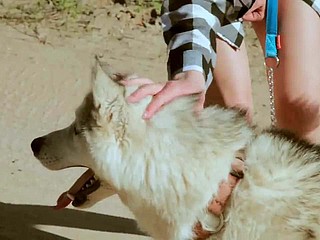 Schöne Teen macht einen Spaziergang mit dem Hund