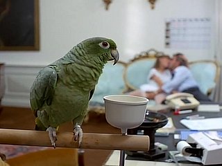 80S لطيف فاتنة شقراء في جوارب سوداء خمر لا اللسان عميق الكلاسيكية