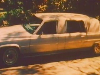 Limo Partiality